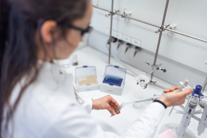 Odzyskiwanie metali technologicznych z odpadów elektronicznych: Fundacja Środowiskowa Audi finansuje badania nad nowym procesem recyklingu